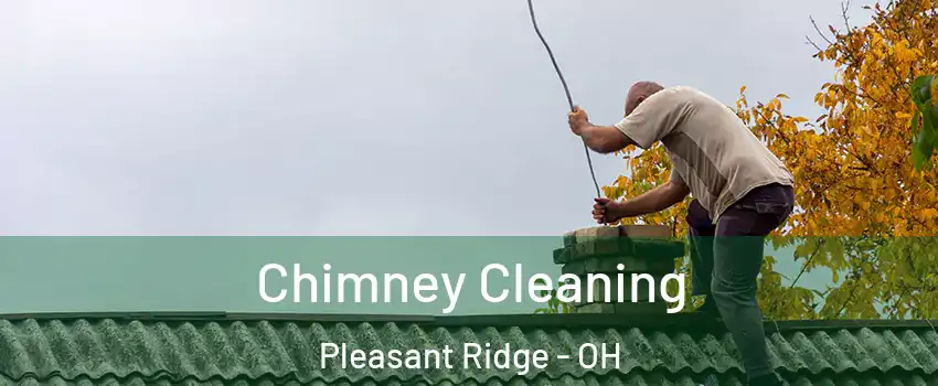 Chimney Cleaning Pleasant Ridge - OH