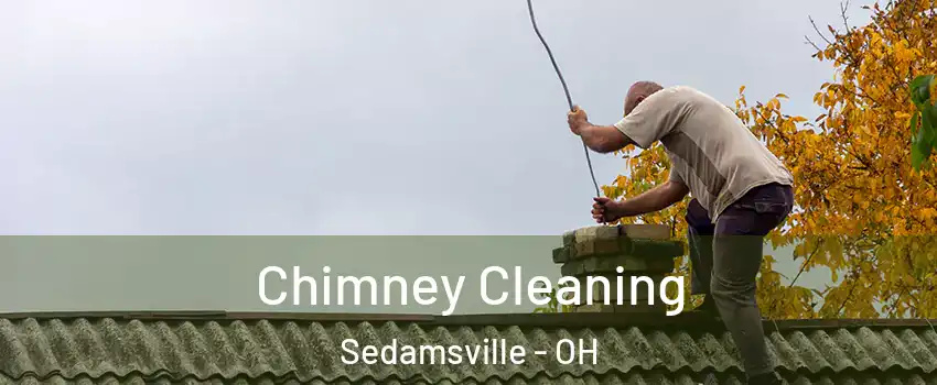 Chimney Cleaning Sedamsville - OH