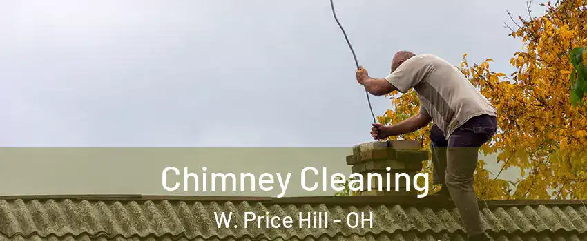 Chimney Cleaning W. Price Hill - OH