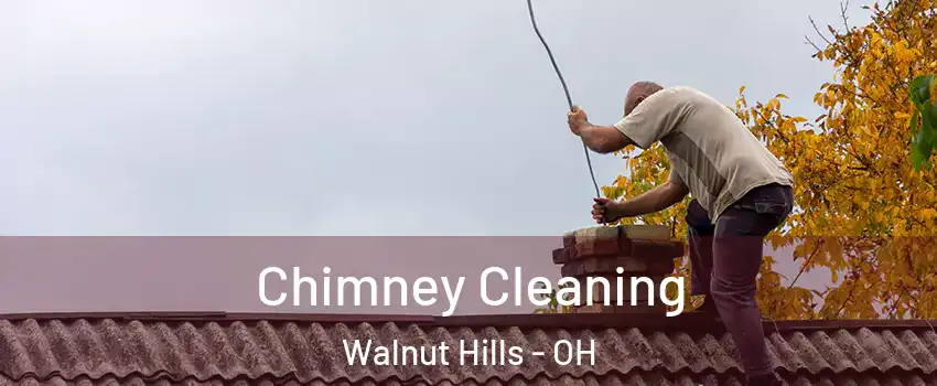 Chimney Cleaning Walnut Hills - OH