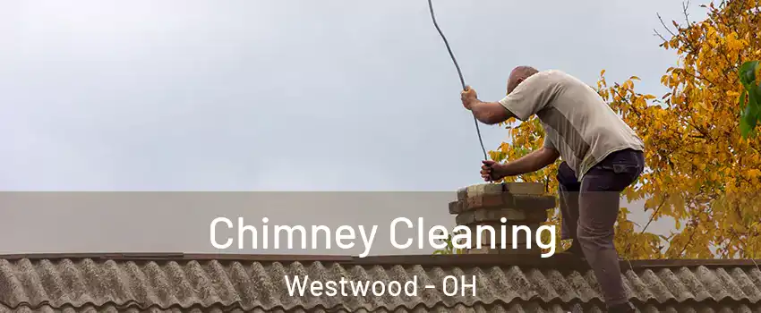 Chimney Cleaning Westwood - OH