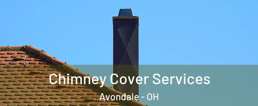 Chimney Cover Services Avondale - OH