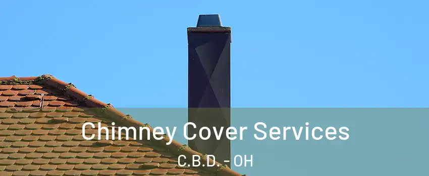 Chimney Cover Services C.B.D. - OH