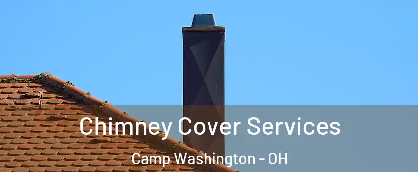 Chimney Cover Services Camp Washington - OH