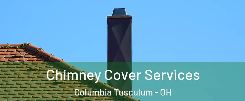 Chimney Cover Services Columbia Tusculum - OH