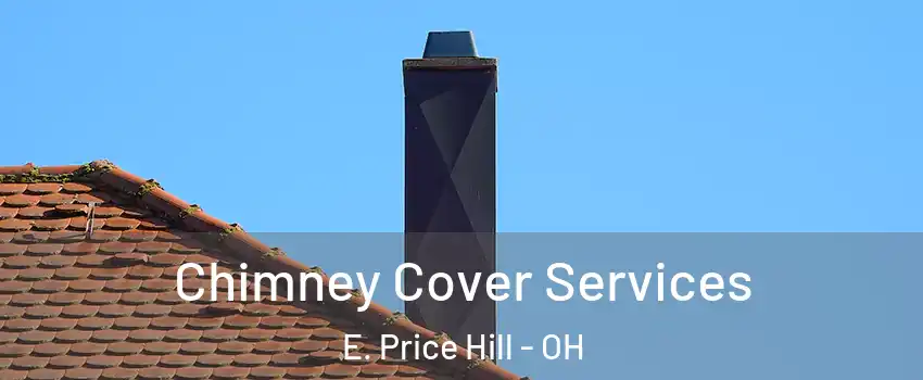 Chimney Cover Services E. Price Hill - OH