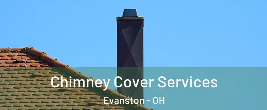 Chimney Cover Services Evanston - OH