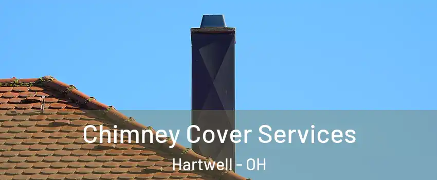 Chimney Cover Services Hartwell - OH