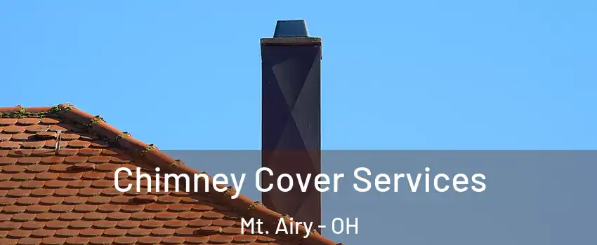 Chimney Cover Services Mt. Airy - OH