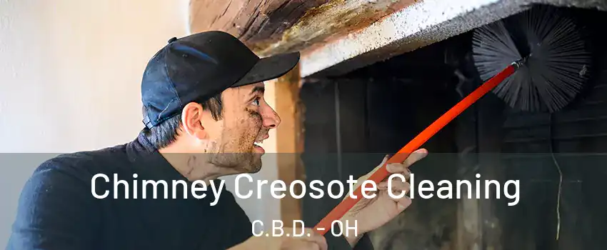 Chimney Creosote Cleaning C.B.D. - OH