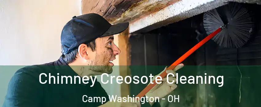 Chimney Creosote Cleaning Camp Washington - OH