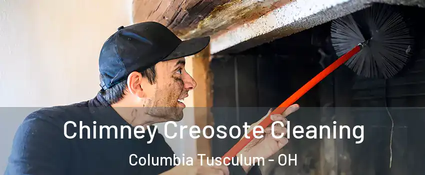 Chimney Creosote Cleaning Columbia Tusculum - OH