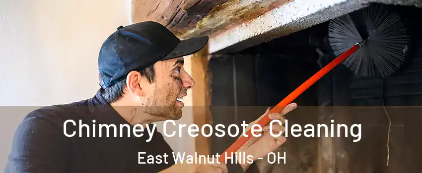 Chimney Creosote Cleaning East Walnut Hills - OH