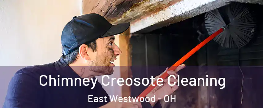 Chimney Creosote Cleaning East Westwood - OH