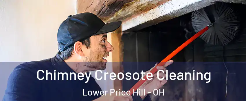 Chimney Creosote Cleaning Lower Price Hill - OH