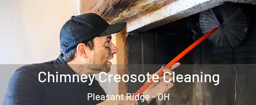 Chimney Creosote Cleaning Pleasant Ridge - OH