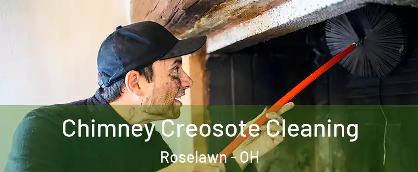 Chimney Creosote Cleaning Roselawn - OH