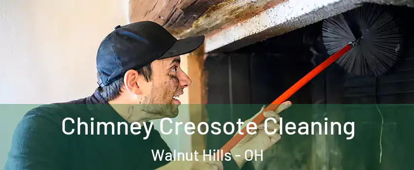 Chimney Creosote Cleaning Walnut Hills - OH