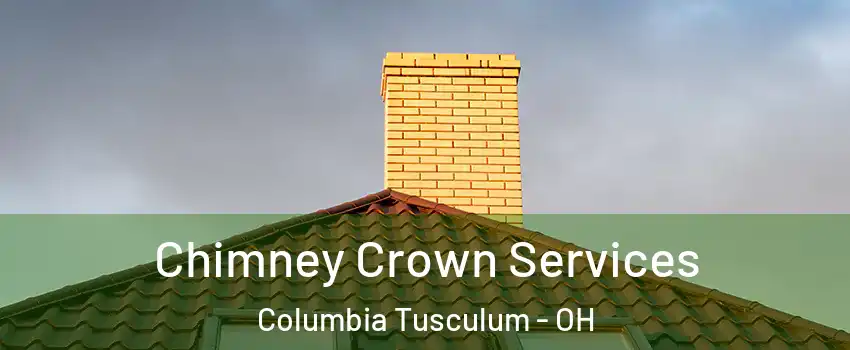 Chimney Crown Services Columbia Tusculum - OH