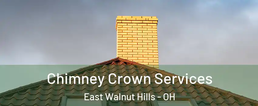 Chimney Crown Services East Walnut Hills - OH