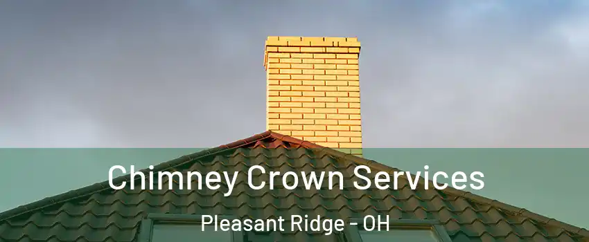 Chimney Crown Services Pleasant Ridge - OH