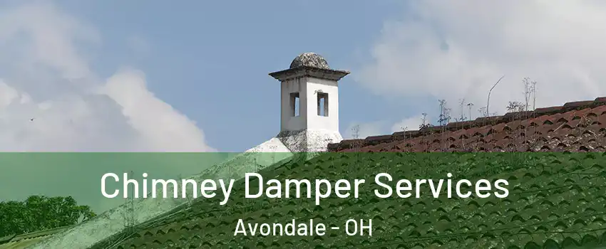 Chimney Damper Services Avondale - OH