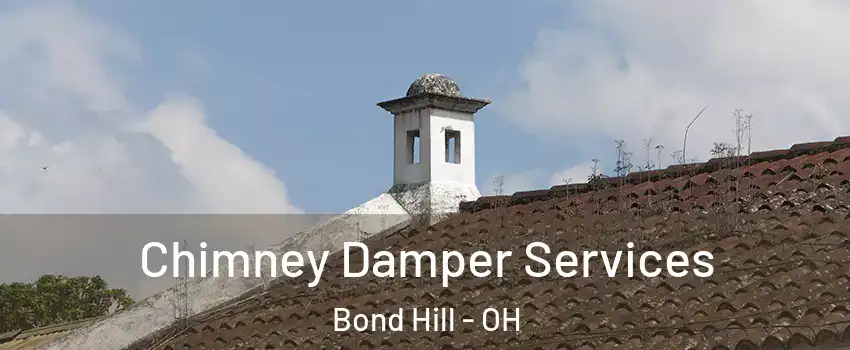 Chimney Damper Services Bond Hill - OH