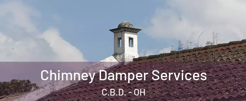 Chimney Damper Services C.B.D. - OH