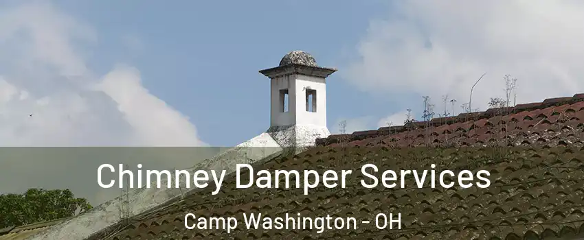 Chimney Damper Services Camp Washington - OH