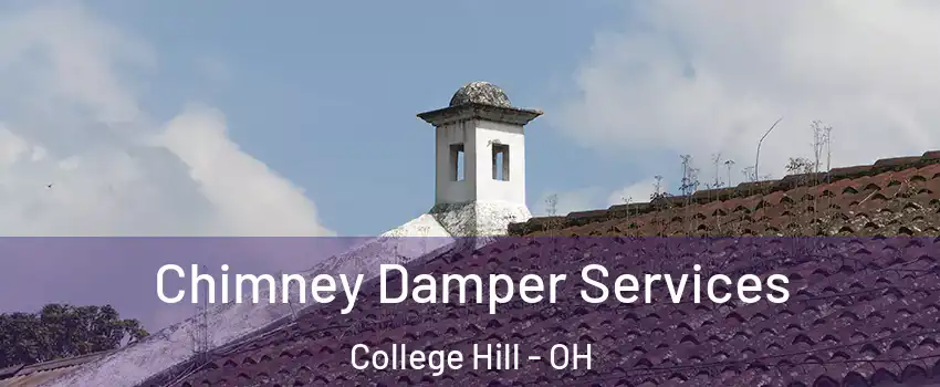 Chimney Damper Services College Hill - OH