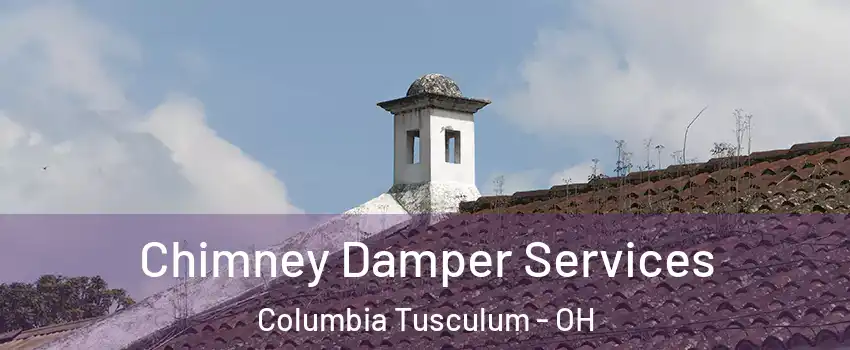 Chimney Damper Services Columbia Tusculum - OH