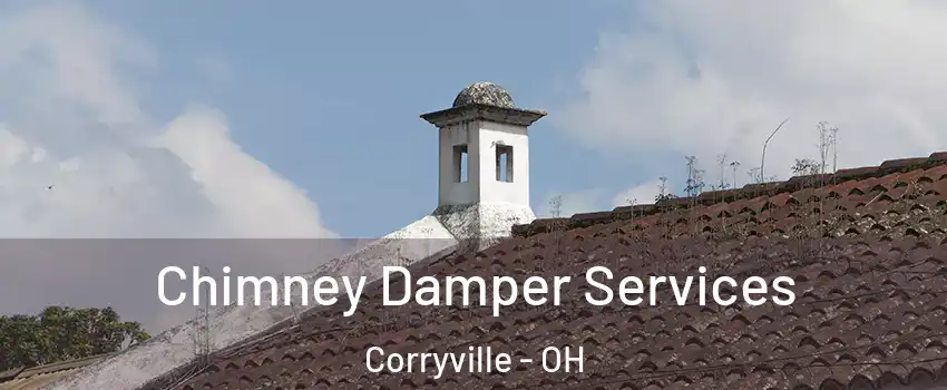 Chimney Damper Services Corryville - OH