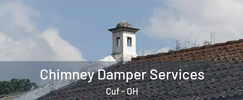 Chimney Damper Services Cuf - OH