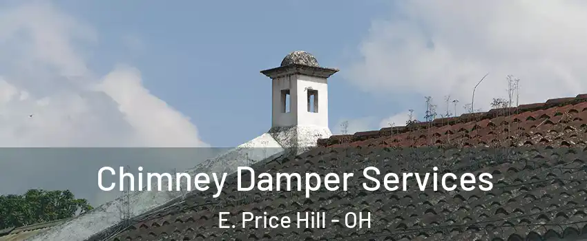 Chimney Damper Services E. Price Hill - OH