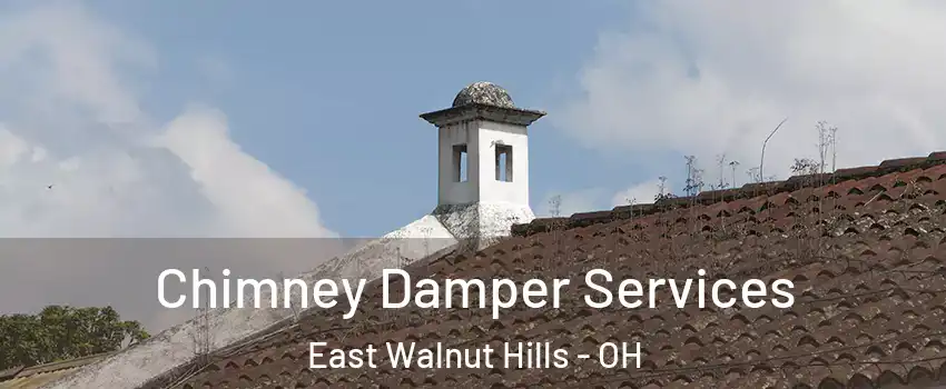 Chimney Damper Services East Walnut Hills - OH