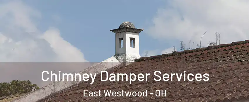 Chimney Damper Services East Westwood - OH