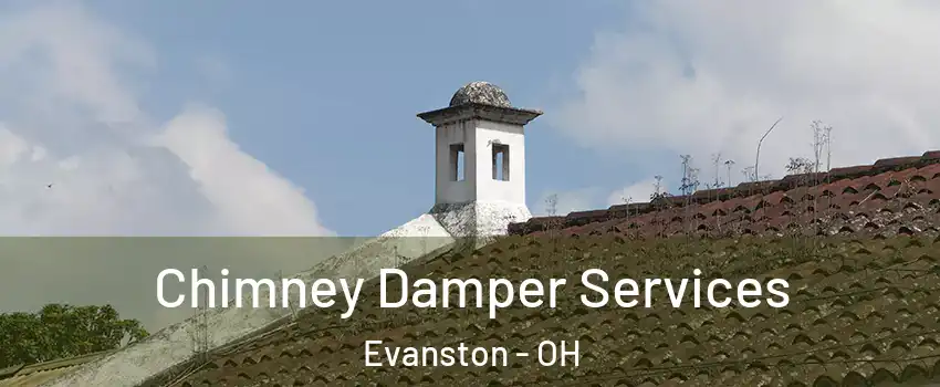 Chimney Damper Services Evanston - OH