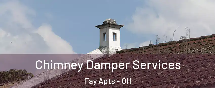 Chimney Damper Services Fay Apts - OH