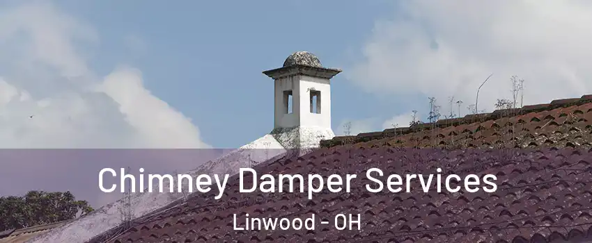 Chimney Damper Services Linwood - OH