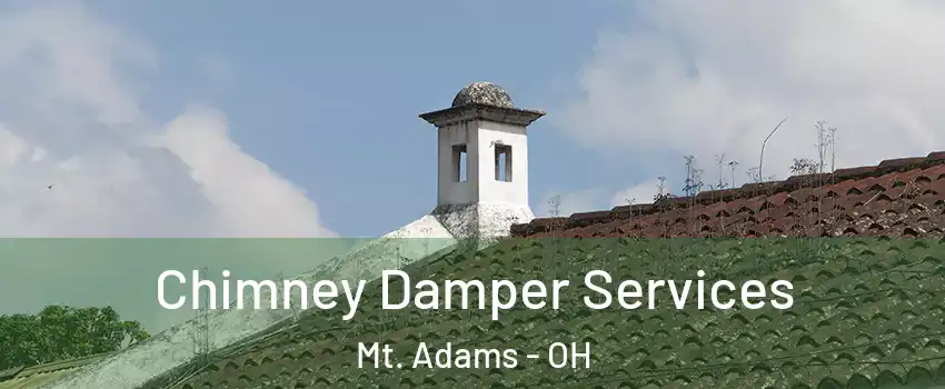 Chimney Damper Services Mt. Adams - OH