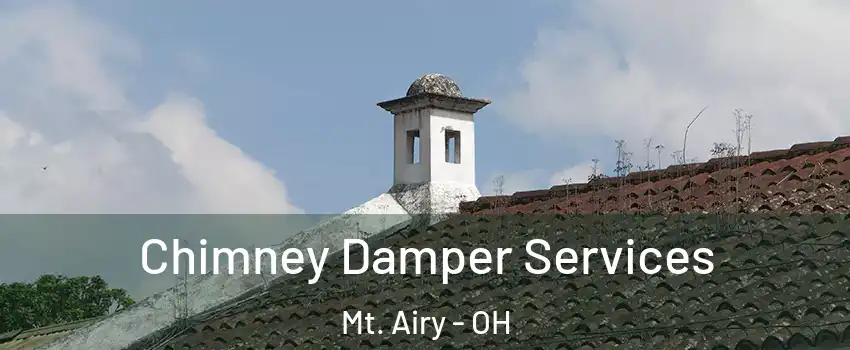 Chimney Damper Services Mt. Airy - OH