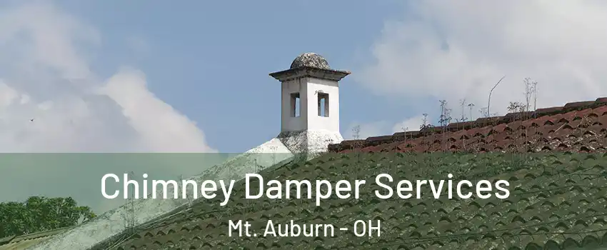 Chimney Damper Services Mt. Auburn - OH