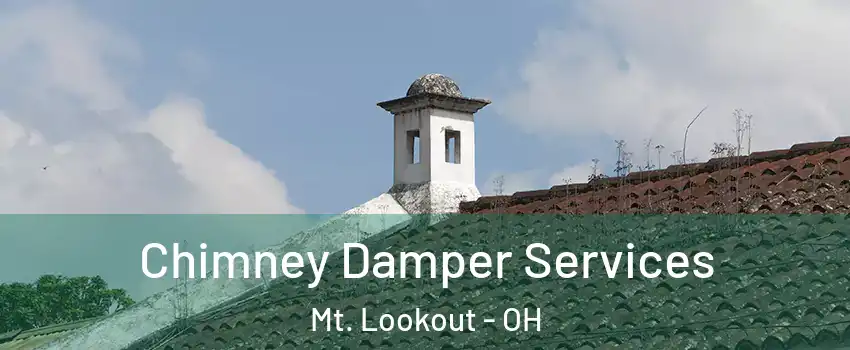 Chimney Damper Services Mt. Lookout - OH