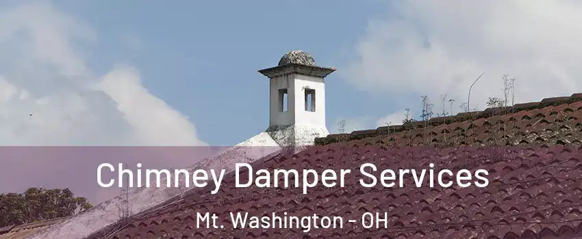 Chimney Damper Services Mt. Washington - OH