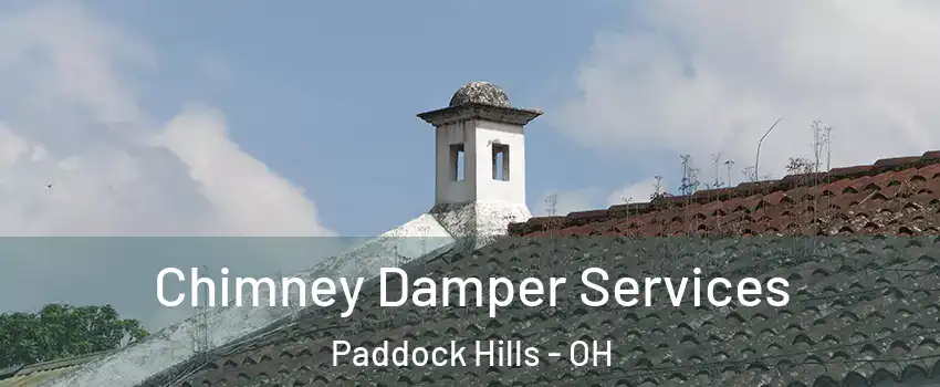 Chimney Damper Services Paddock Hills - OH