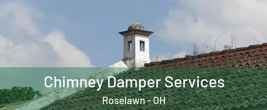 Chimney Damper Services Roselawn - OH