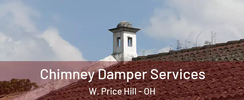 Chimney Damper Services W. Price Hill - OH