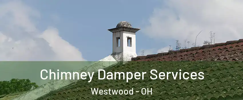 Chimney Damper Services Westwood - OH