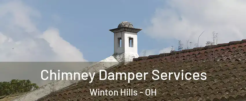 Chimney Damper Services Winton Hills - OH