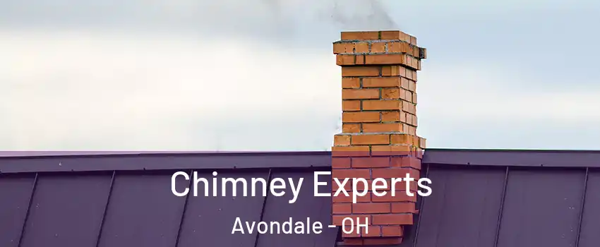 Chimney Experts Avondale - OH